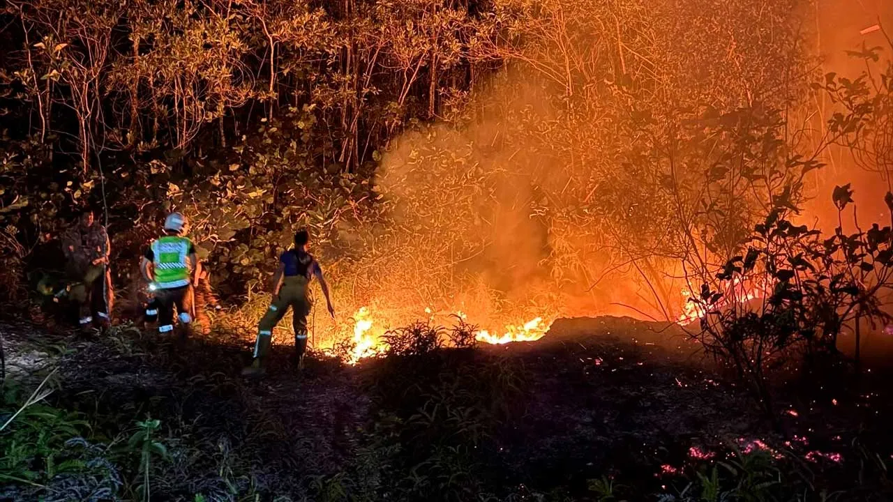 [TB]_Kebakaran Hutan Taman Desaminium_FB Pasukan Bomba Sukarela Taman Sri Serdang