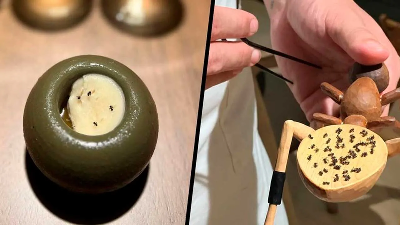 [TB]_dessert made with ants_X @sputnik_jp