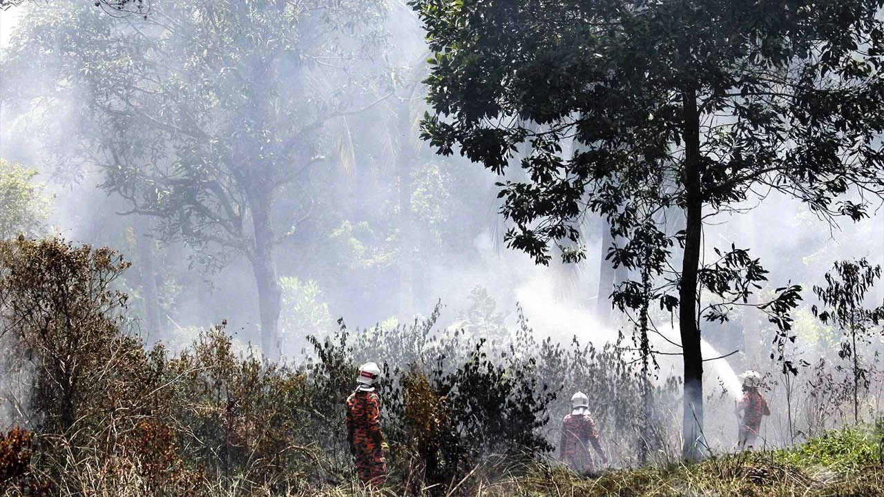 KUANTAN, 20 Jun - Sikap tidak bertanggungjawab beberapa individu yang melakukan pembakaran terbuka menyebabkan keadaan menjadi panik seketika apabila tindakan yang dilakukan itu mengakibatkan kebakaran hutan berhampiran seluas kira-kira tiga ekar semasa tinjauan fotoBERNAMA di Kampung Pahang, di sini hari ini. Bagaimanapun, tindakan pantas anggota bomba dan penyelamat dari balai Bomba Bukit Ubi sejurus menerima laporan orang awam dapat mengawal kebakaran tersebut daripada terus merebak ke kawasan penempatan