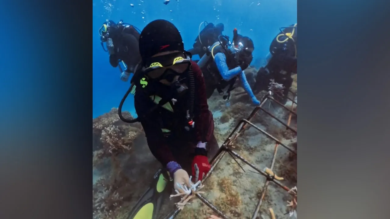 YAYASAN JCORP CONTINUES CORAL RESTORATION EFFORTS AT PULAU AUR