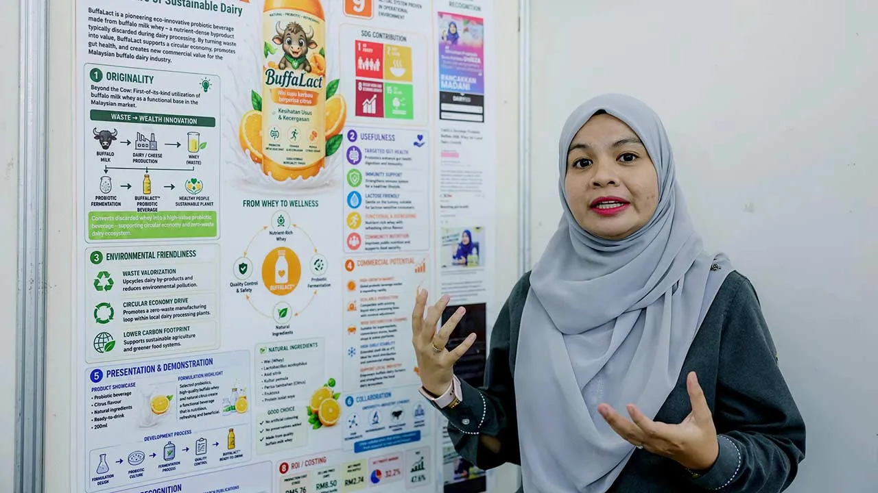 KUALA TERENGGANU, 22 Sept - Timbalan Dekan (Akademik dan Siswazah) Fakulti Perubatan Veterinar Universiti Sultan Zainal Abidin (UniSZA) Dr Noor Syaheera Ibrahim ditemu bual BERNAMA baru-baru ini. Malaysia masih perlu mengimport kira-kira 26 juta liter susu segar bagi memenuhi keperluan negara berikutan tahap sara diri (SSL) susu segar hanya sekitar 62 peratus pada 2024. Berdasarkan data Jabatan Perkhidmatan Veterinar (JPV), kira-kira 43 juta liter daripada keseluruhan keperluan 69 juta liter susu segar nega