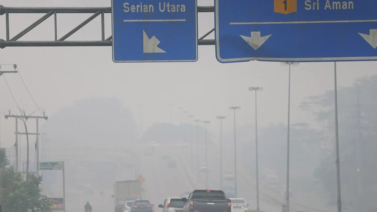JEREBU IPU TIDAK SIHAT
