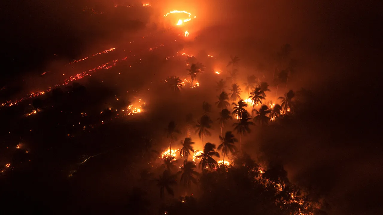 A drone view shows wildfires burning an area in Sungai Putri, Ketapang regency, West Kalimantan province, Indonesia, August 29, 2026. REUTERS/Willy Kurniawan