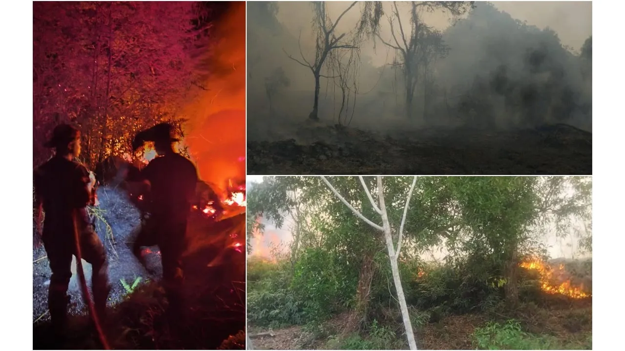 Kebakaran Hutan Di SPF Bidor Dipadam Sepenuhnya, Penilaian Impak Dilaksana - FRIM -- JBPM Perak