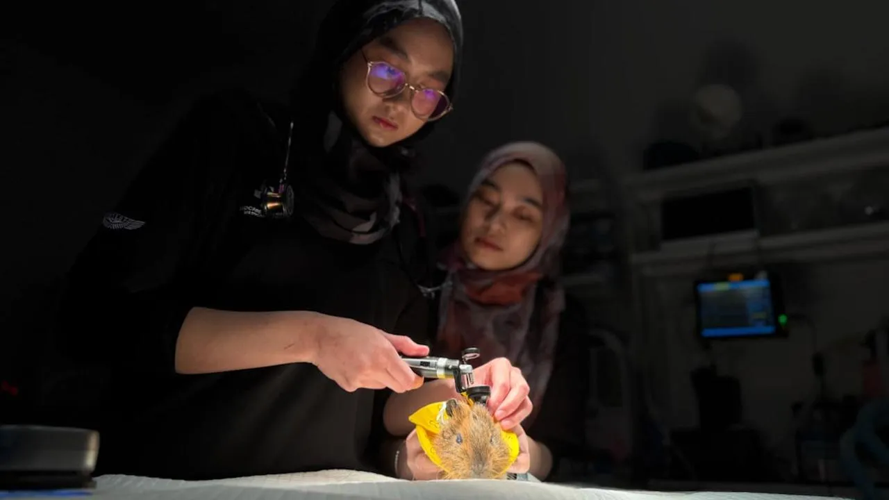 Klinik Veterinar, Haiwan, Eksotik -- Astro AWANI/Seth Akmal