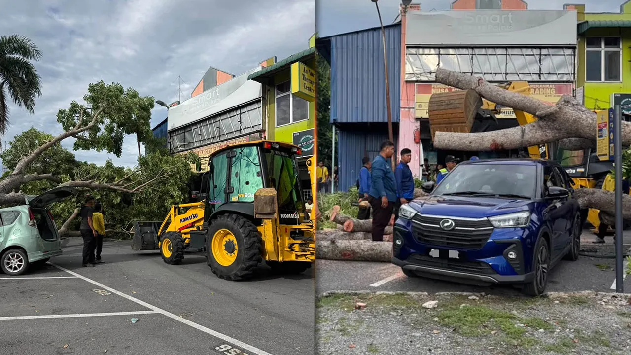 Pada 12 September 2026, kira-kira jam 3.30 petang, telah berlaku satu kejadian pokok tumbang di Taman Sena Indah, Kangar yang telah menghempap dan melibatkan dua buah kenderaan persendirian, iaitu Perodua Alza dan Perodua Ativa. -- FB Majlis Perbandaran Negeri Perlis