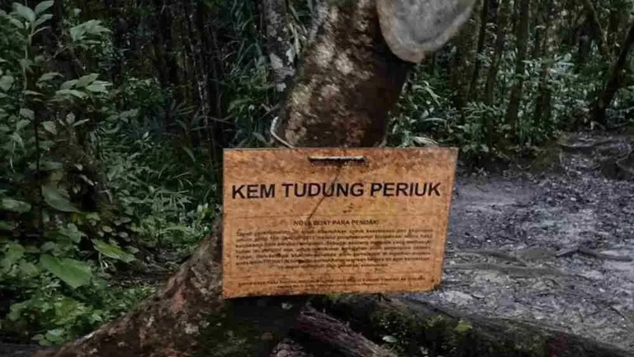 https://www.sinarharian.com.my/article/797029/berita/semasa/bomba-gerak-operasi-sar-pendaki-terpisah-di-hutan-gua-musang