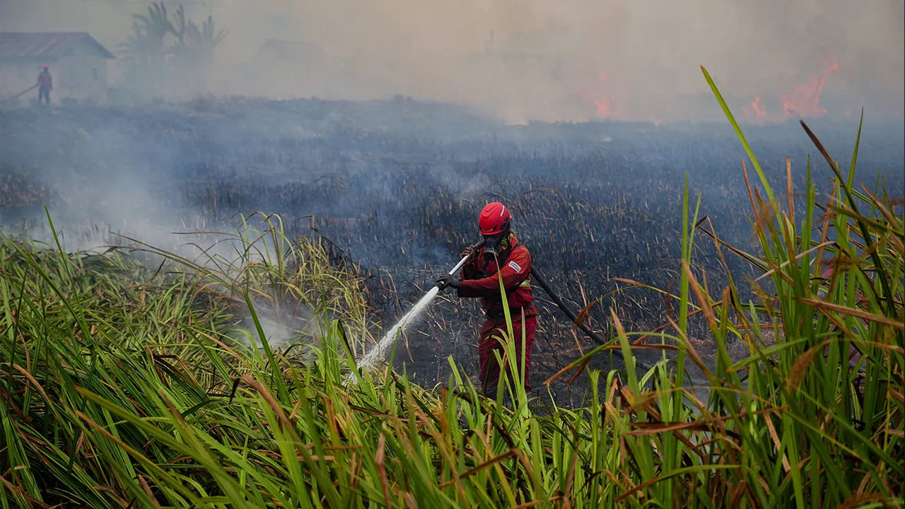 A firefighter of the Manggala Agni, Indonesia's fire control brigade, sprays water to a wildfire near a residential area in Ogan Ilir, South Sumatra, Indonesia, September 25, 2026. REUTERS/Abriansyah Liberto