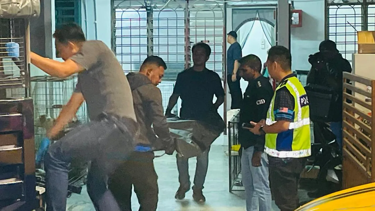 Perak hantar - Wanita warga emas ditemukan maut, dipercayai ditikam anak sendiri. - Anggota polis membawa mayat warga emas ke dalam kenderaan polis.