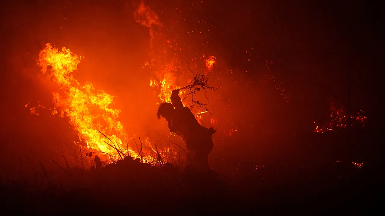 A firefighter uses a tree branch to try and douse the flames amid a wildfire in Palembang, South Sumatra province, Indonesia, September 8, 2026. REUTERS/Abriansyah 
