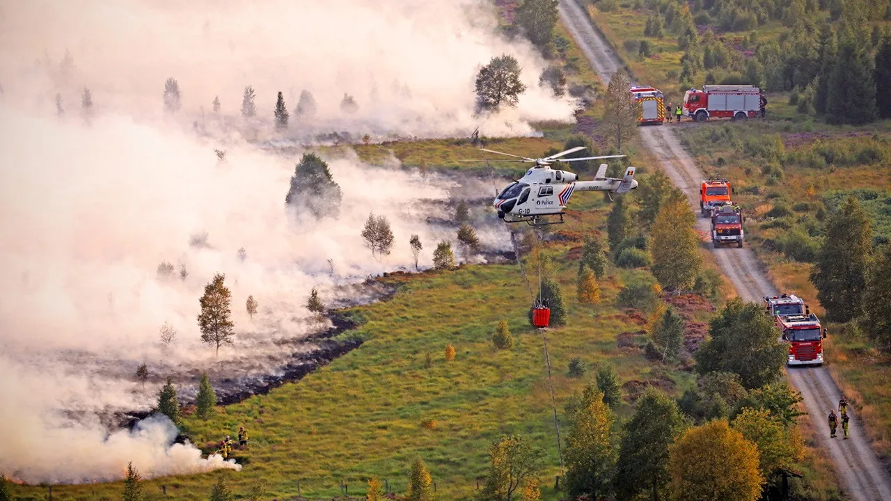 Fire services personnel are deployed as smoke rises from a wildfire, in the High Fens region of Belgium, August 17, 2026. Balgian Federal Police/Handout via REUTERS