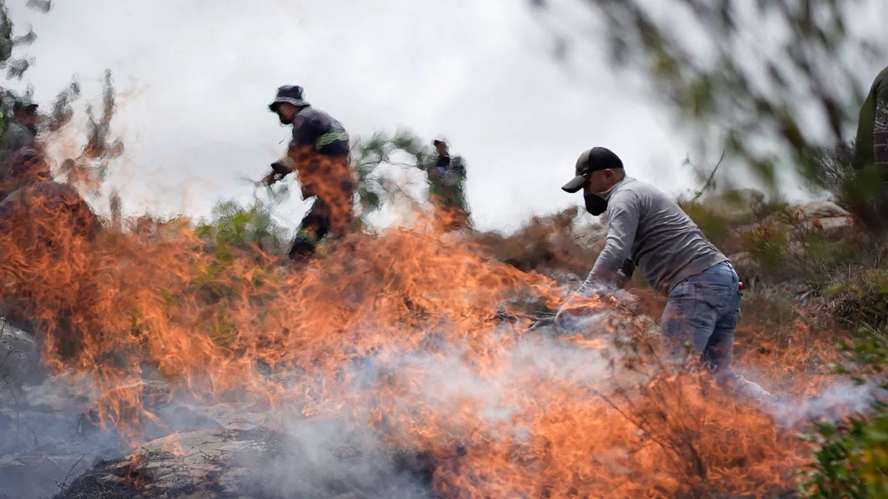 People use tree branches to beat back flames as they fight a wildfire in Villa de Leyva, Colombia, September 21, 2026. REUTERS
