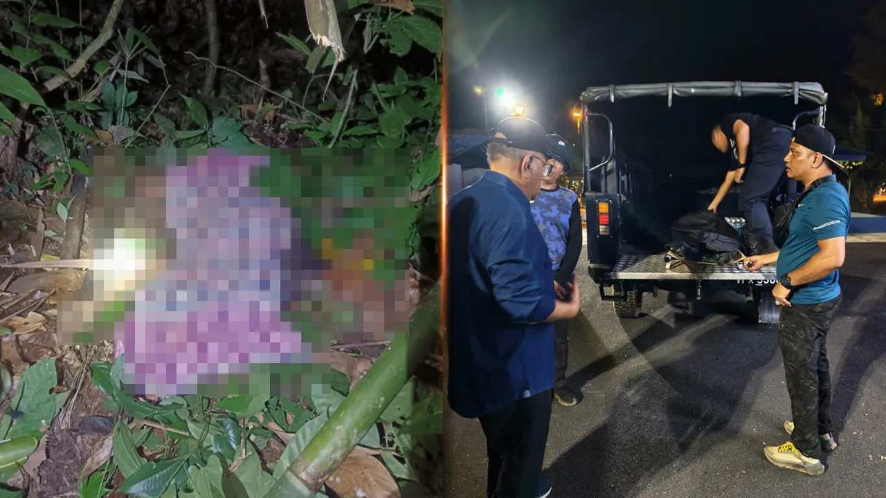serangan harimau kredit: FB Dato Zolkafly Harun