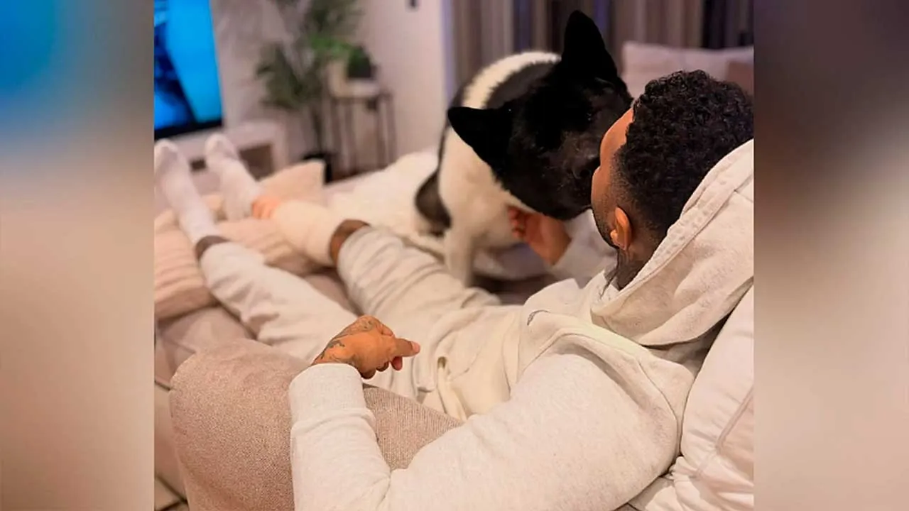Bekas pemain sayap Arsenal dan Liverpool, Jermaine Pennant, mendedahkan detik mencemaskan apabila diserang seekor anjing baka German Shepherd dalam kejadian di utara London, dengan anjing peliharaannya sendiri dipercayai membantu menyelamatkannya.