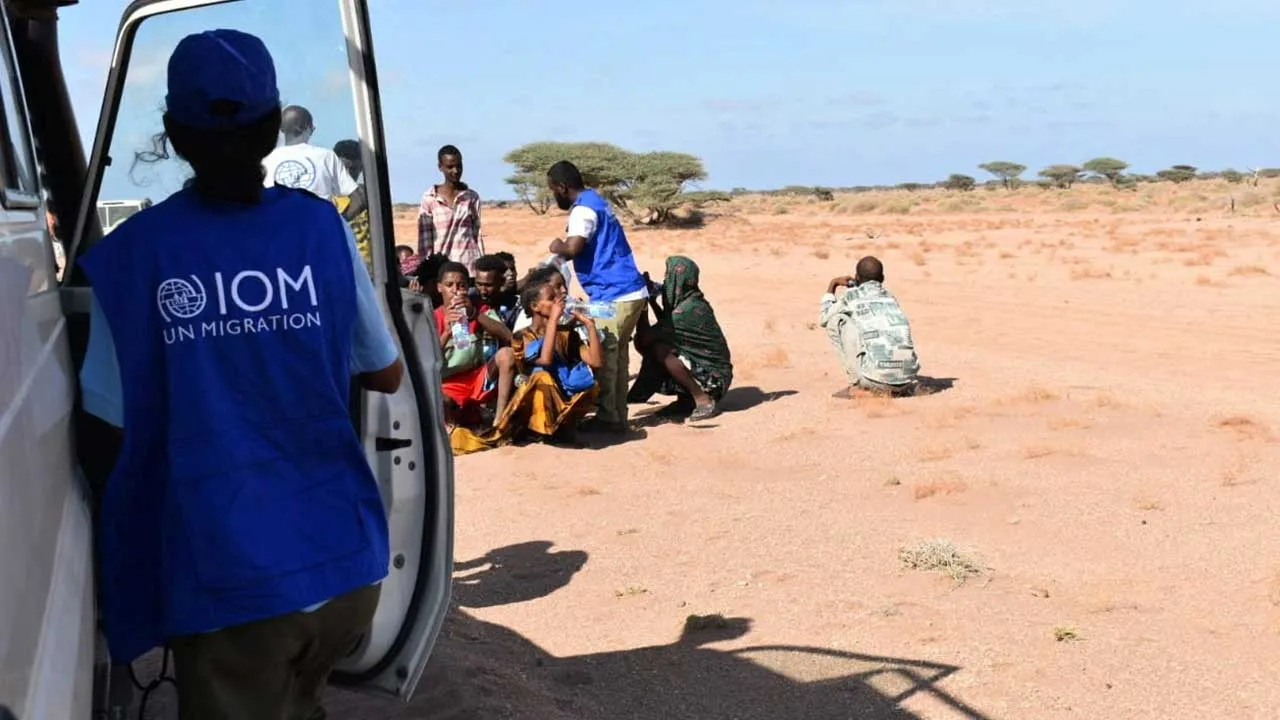 International Organization for Migration workers receive migrants after a boat carrying about 305 people capsized while sailing from Djibouti to Yemen, leaving at least 109 migrants, including 15 children, dead and more than 116 missing, according to the United Nations' International Organization for Migration on October 11, near Guhere, north of the port town of Obock, Djibouti, in this photograph released on October 10, 2026. Kennedy Omondi Okoth/International Organization for Migration/Handout via REUTER