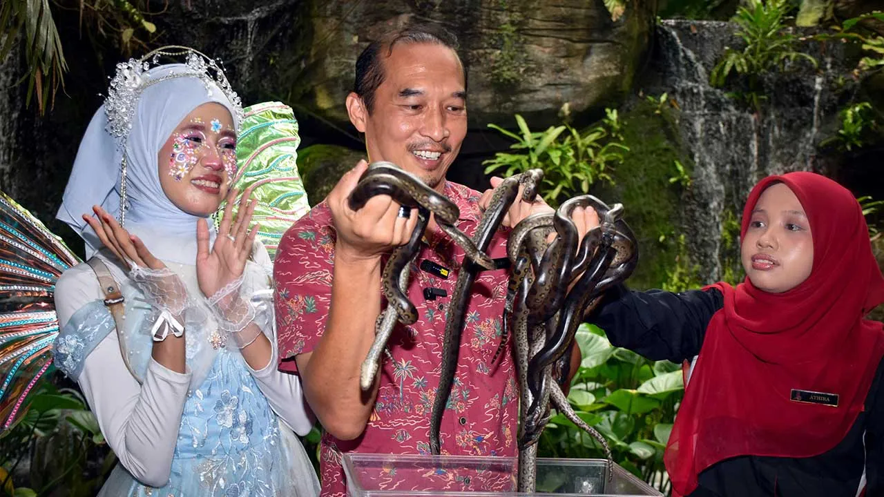 MELAKA, 9 Okt - Pengarah Urusan Taman Rama-Rama dan Reptilia Melaka Gerard Wong (tengah) menunjukkan anakonda hijau yang berjaya dibiakkan secara kurungan pada sidang media di taman itu, hari ini.  Taman Rama-Rama dan Reptilia Melaka melakar sejarah apabila menjadi pusat pemuliharaan zoologi pertama di Malaysia yang berjaya membiakkan 10 anakonda hijau (Eunectes murinus) sepenuhnya dalam kurungan pada 5 Okt lepas.  - fotoBERNAMA (2026) HAK CIPTA TERPELIHARA