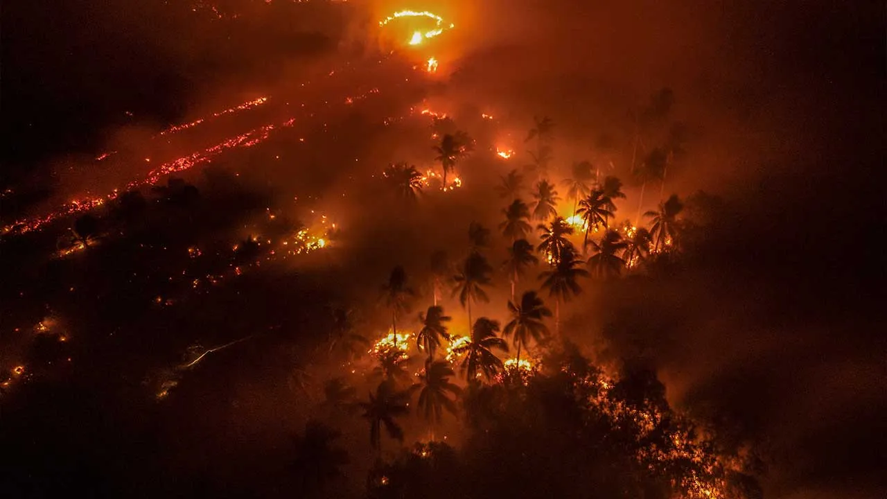 A drone view shows wildfires burning an area in Sungai Putri, a wildfire-affected peatland area, in Ketapang regency, West Kalimantan province, Indonesia, August 29, 2026. From January to July this year, fires burned around 202,000 hectares (almost 500,000 acres) of land in Indonesia, with West Kalimantan being the worst-hit province, with more than 38,000 hectares burned, government data shows. Firefighting volunteer Elly Marlina, 46, says the fires are worse than normal this year and affecting forests and