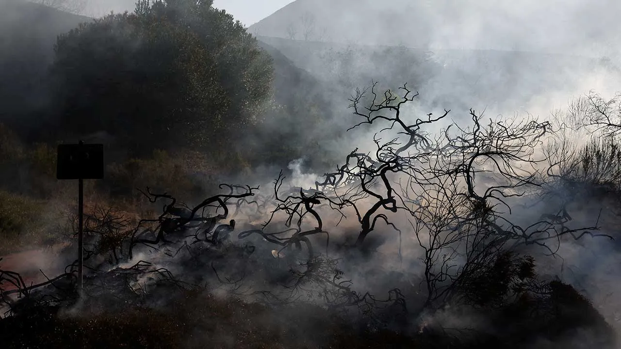 Charred vegetation amid the Norte Fire as wildfires rage in San Clemente, California, US, October 16, 2026. REUTERS/Caroline Brehman