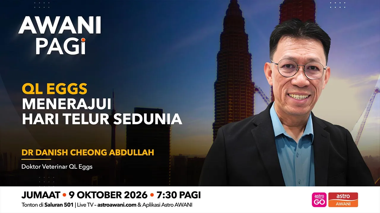 AWANI PAGI QL EGGS