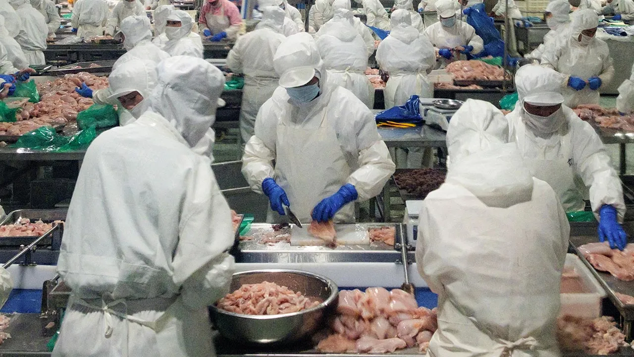 Employees trim and process chicken breast meat at Wintop Food Group's frozen chicken-processing factory in Tengzhou, Shandong province, China August 24, 2026. REUTERS/Ella Cao