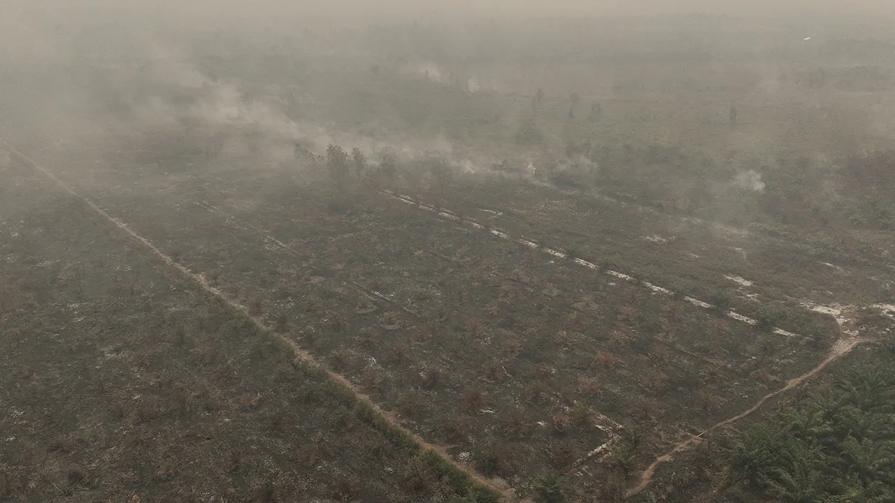 A drone view shows smoke rising from a burned palm-oil plantation in an area affected by wildfires in Kuala Satong village, Ketapang Regency, West Kalimantan, Indonesia, August 30, 2026. The fires and haze have shrouded parts of Borneo, which also includes the Malaysian states of Sarawak and Sabah, in a hazardous smog that has also spread to Singapore and the Malaysian peninsula, forcing some schools to close and causing a spike in respiratory illnesses. REUTERS