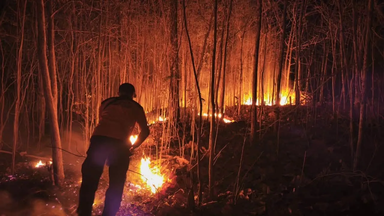 Kebakaran hutan dan lahan (karhutla) merupakan kejadian baru yang dilaporkan pada periode ini. Sejumlah kejadian yang menjadi perhatian kali ini meliputi karhutla di Kepulauan Bangka Belitung, Jawa Timur, Bali, Sulawesi Barat, Sulawesi Tengah, Papua Tengah, dan Papua Barat Daya, serta kebakaran di TPA Takome, Kota Ternate, Maluku Utara. -- FB Badan Nasional Penanggulangan Bencana (BNPB)