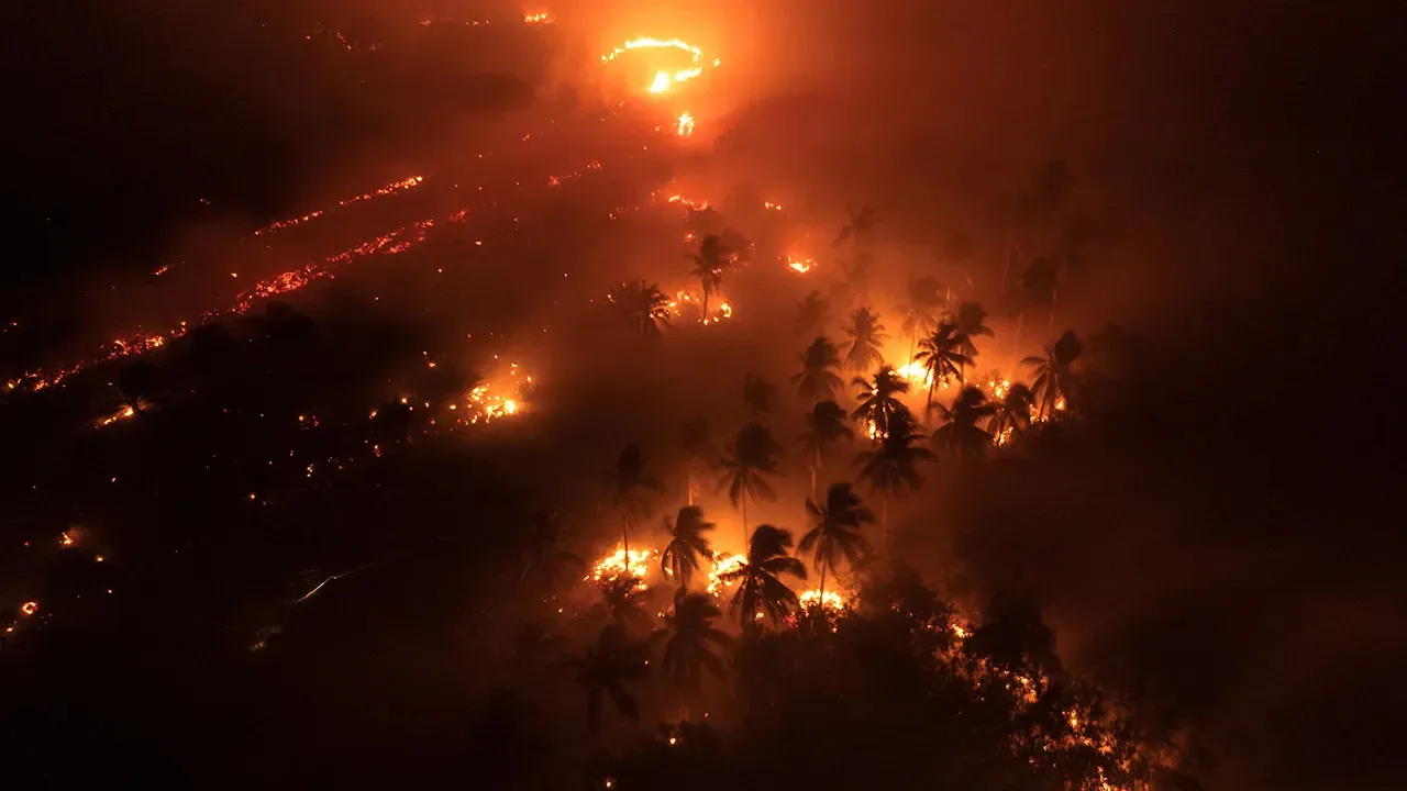 JAKARTA: Indonesia tidak akan mengisytiharkan kebakaran hutan dan tanah yang berlarutan di negara itu sebagai bencana nasional buat masa ini, sambil menyatakan ia masih berupaya menangani krisis berkenaan.