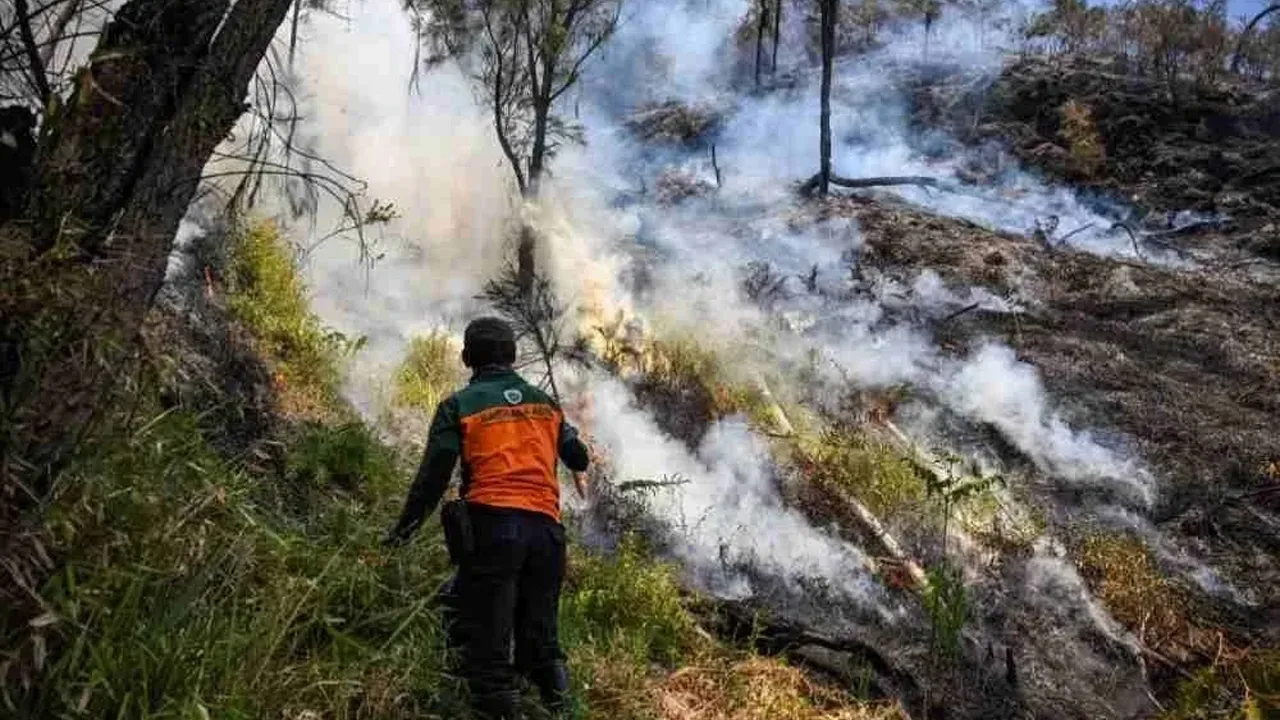 JAKARTA - Indonesia tidak akan mengisytiharkan kebakaran hutan dan tanah yang berlarutan di negara itu sebagai bencana nasional buat masa ini, sambil menyatakan ia masih berupaya menangani krisis berkenaan.