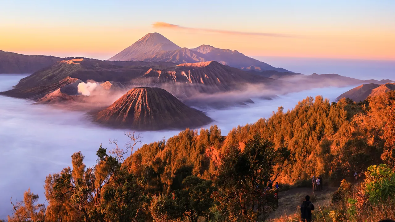 Sumber: Adobe Stock