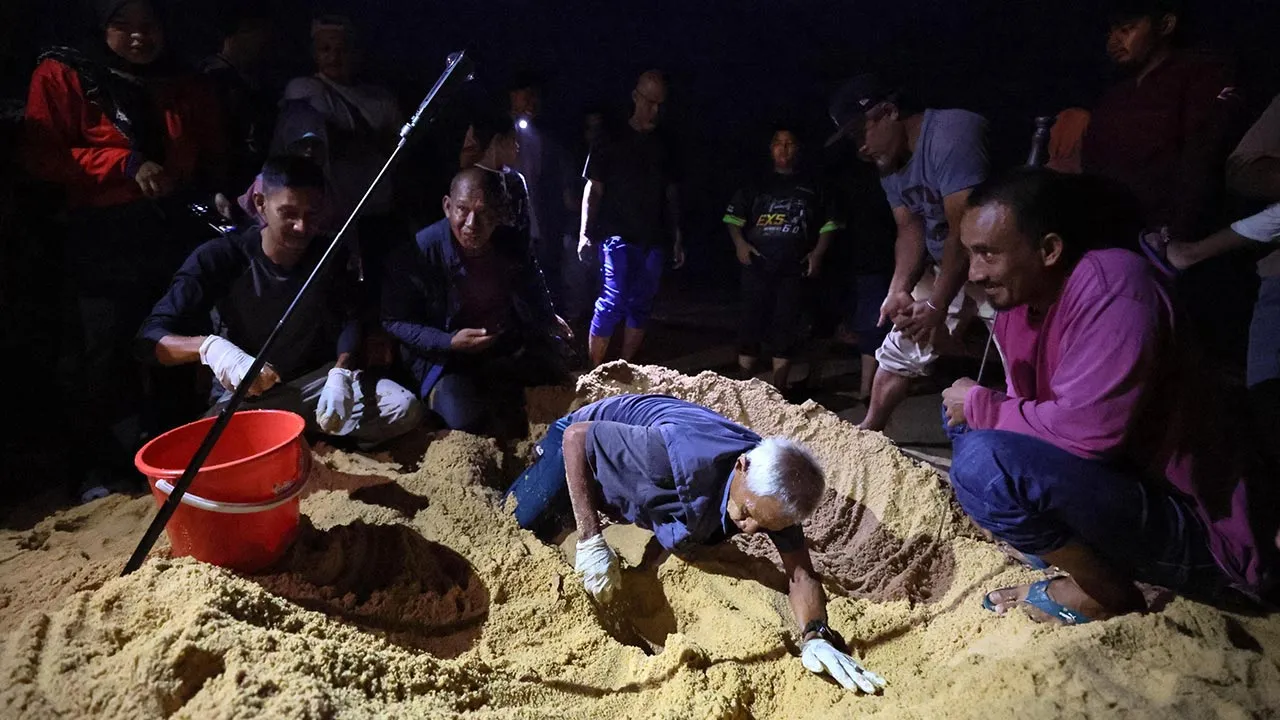 DUNGUN, 10 Okt - Kakitangan Pusat Konservasi dan Penerangan Penyu (TCIC) Rantau Abang melakukan proses menyelamatkan telur penyu belimbing di Pantai Rantau Abang, awal pagi ini.  Jabatan Perikanan Malaysia melalui Pusat Konservasi dan Penerangan Penyu (TCIC) Rantau Abang menyelamatkan 48 biji telur penyu belimbing (Dermochelys coriacea) susulan pendaratan terbaharu spesies itu.  Pendaratan kelima bagi musim ini menjadikan jumlah keseluruhan telur yang direkodkan di pesisir pantai Terengganu sebanyak 313 bij