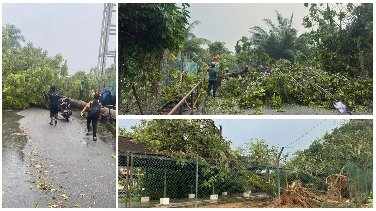 ⛈️ UJIAN RIBUT DI SK MATANG DAN KAWASAN SEKITAR  💫 SK Matang dan kawasan sekitarnya turut terjejas akibat kejadian ribut yang berlaku petang tadi.  💫 Dalam situasi ini, SK Matang turut dijadikan Pusat Pemindahan Sementara (PPS) bagi menempatkan penduduk kampung yang terjejas. 💫 Semoga semua mangsa diberikan kekuatan dan ketabahan dalam menghadapi ujian ini dan segala urusan dipermudahkan serta didoakan keadaan kembali pulih seperti sediakala. 💫_FB SK Matang