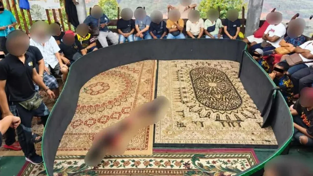 Sindiket judi sabung ayam yang dipercayai aktif sejak awal tahun ini tumpas selepas polis menyerbu sebuah rumah pondok di sini pada Sabtu. - Foto Sinar Harian