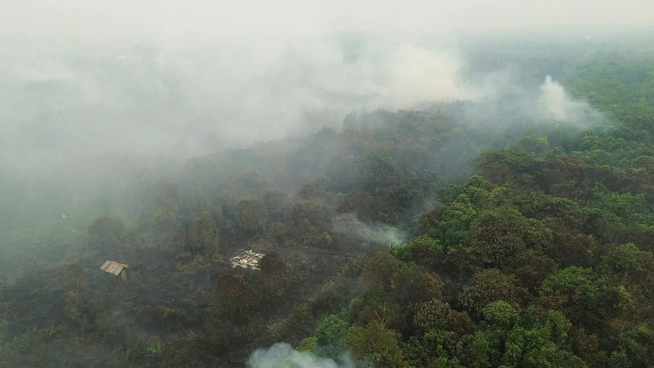 Pemandangan dron menunjukkan kepulan asap dari kawasan hutan susulan kebakaran di kampung Telaga Baru, Kabupaten Kotawaringin Timur, provinsi Kalimantan Tengah, Indonesia, 22 Okt 2026. REUTERS