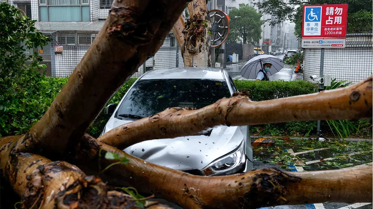 An uprooted tree after strong winds brought by Typhoon Champi, in Taipei, Taiwan October 24, 2026. REUTERS/Ann Wang TPX IMAGES OF THE DAY