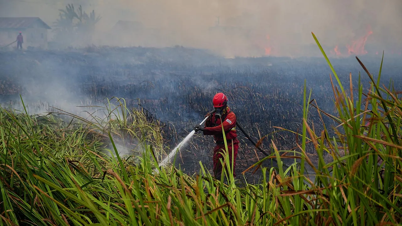 A firefighter of the Manggala Agni, Indonesia's fire control brigade, sprays water to a wildfire near a residential area in Ogan Ilir, South Sumatra, Indonesia, September 25, 2026. REUTERS/Abriansyah Liberto