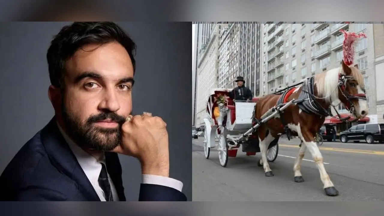 Zohran Mamdani and city council speaker strike a deal to end NYC’s horse carriage industry. Good news for horse welfare!