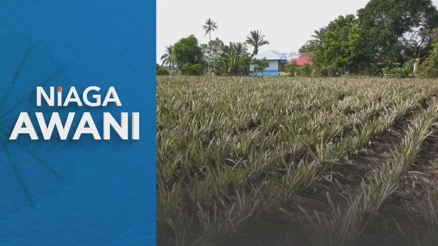 Agrikomoditi sumbang RM66.1 bilion kepada KDNK sehingga September 2025