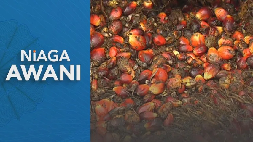 Pertambahan eksport, faktor musim hadkan paras simpanan