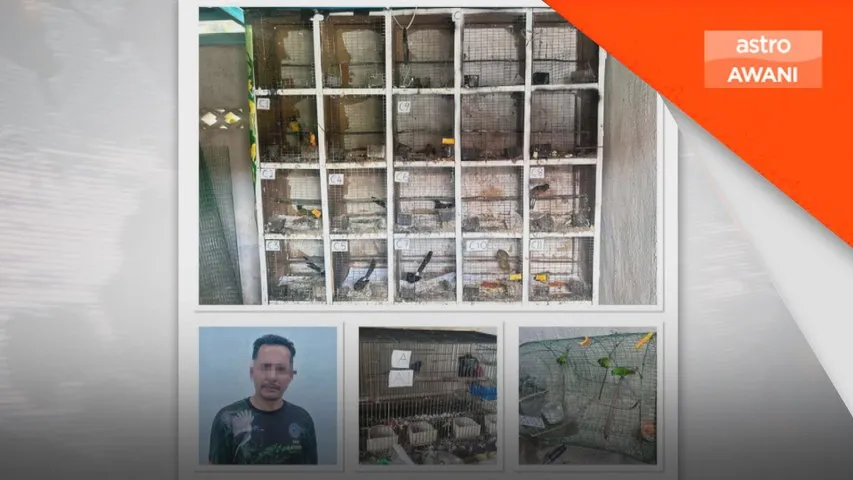 Kegiatan menyimpan 15 hidupan liar berjaya dibongkar PSP