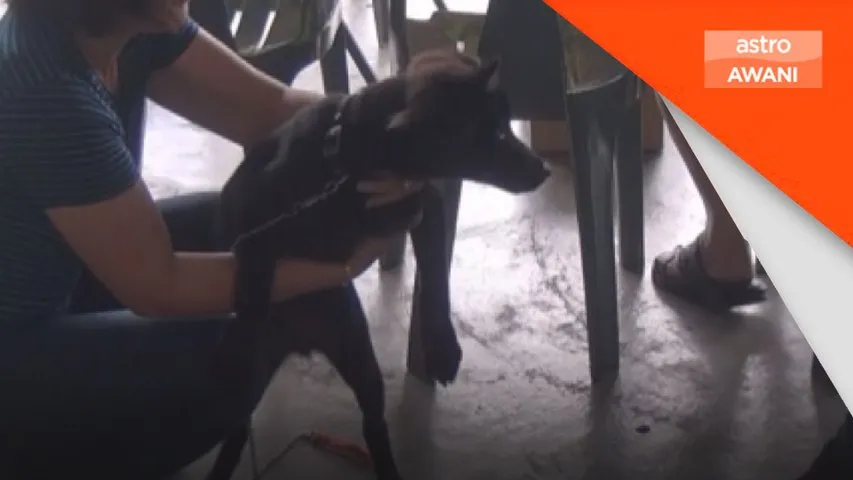 Lelaki 44 tahun korban terbaharu di Sarawak