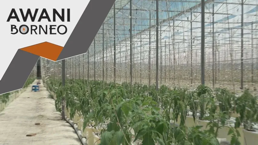 Agridata tingkat kualiti hasil tanaman setanding import