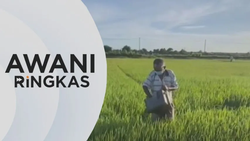 AWANI Ringkas: Pengeluaran hasil padi terkesan