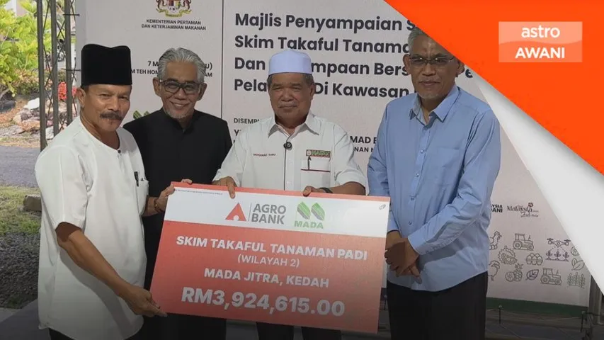 Kemarau berpanjangan beri kesan kepada pengeluaran hasil padi