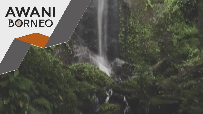 Aidilftri dan Hari Hutan Sedunia di Lembah Danum