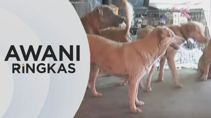 AWANI Ringkas: Kanak-kanak 10 tahun korban terbaharu di Sarawak