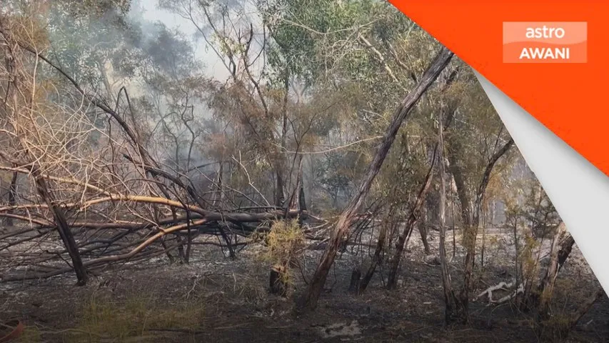 422 kes kebakaran direkodkan Terengganu dalam tiga bulan