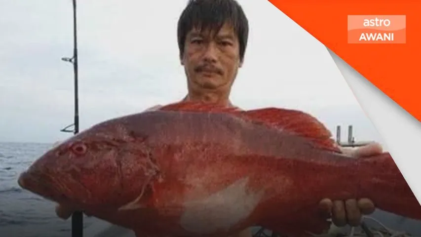 Penyelam skuad hilang di Pulau Tenggol, masih tidak dijumpai