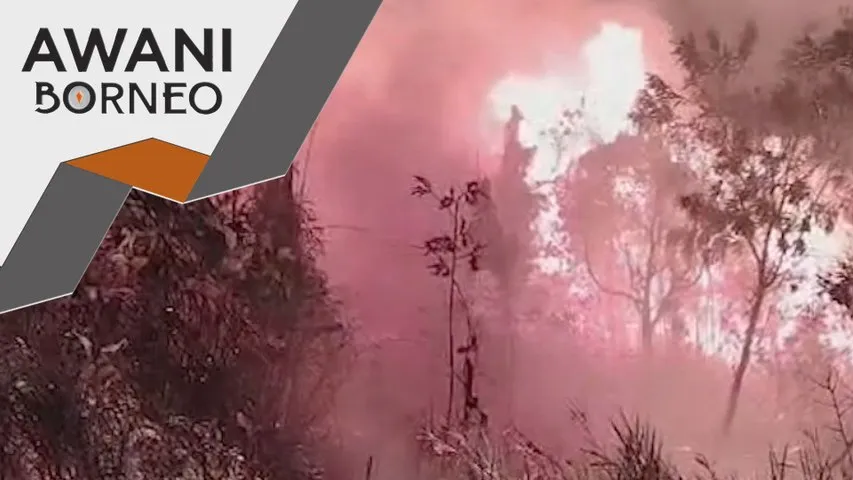 Lapan hektar hutan dan belukar di Bintulu terbakar