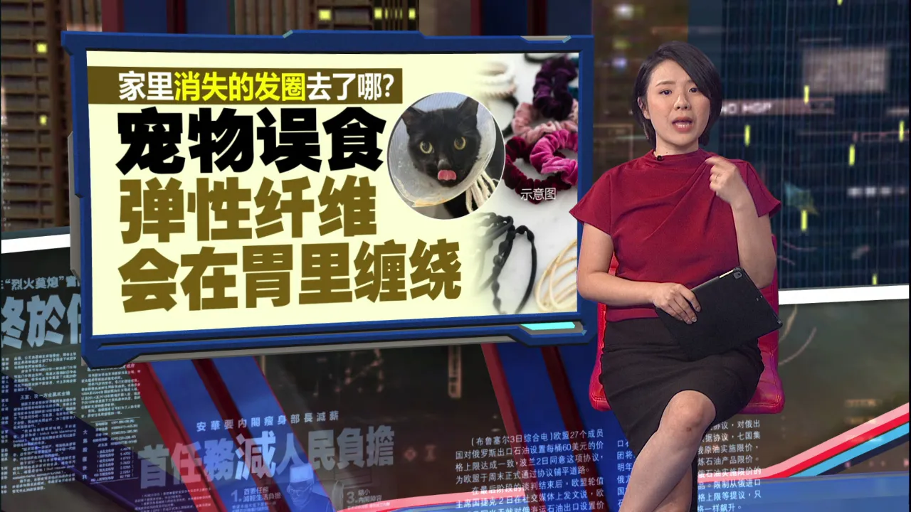 宠物误食小东西险遭安乐死 发圈是致命元凶！