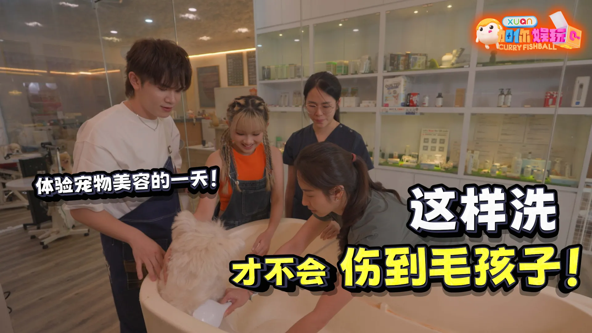 【娱玩任务站】 为“毛孩子”洗澡的正确手法！Hayden & Jenn 体验宠物美容惨被“水炸弹”袭击！